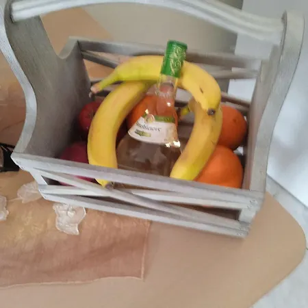 Daire Center Maria Julia Cubana *